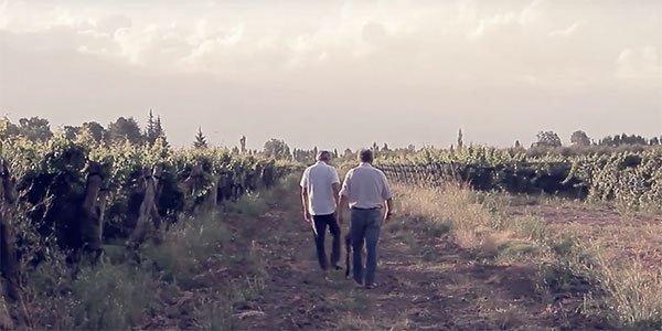 Trapiche Terroir Series