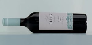 Rediseño Filus Classic