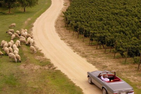 Seña. 25 años. An inspiring Journey.