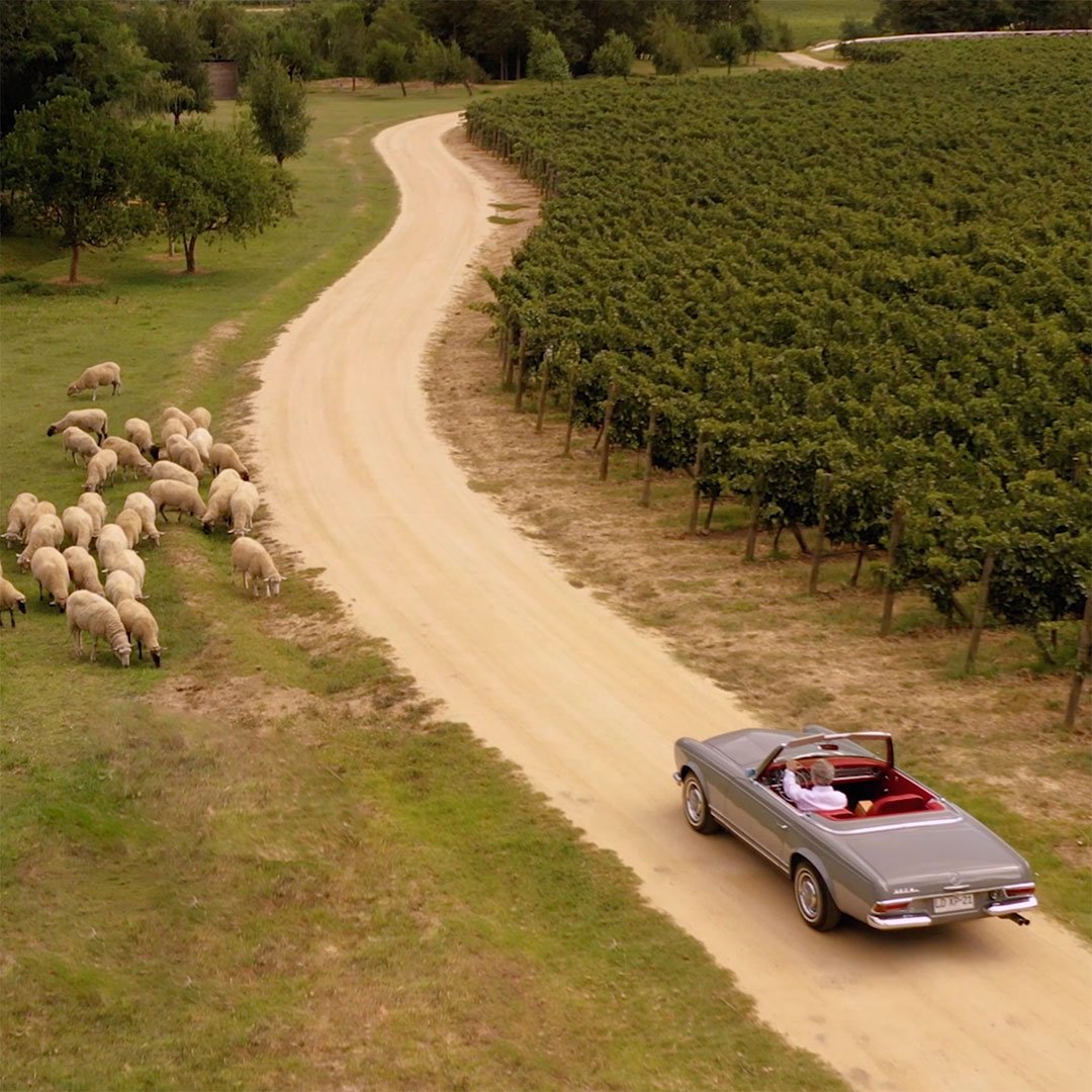 Seña. 25 años. An inspiring Journey.