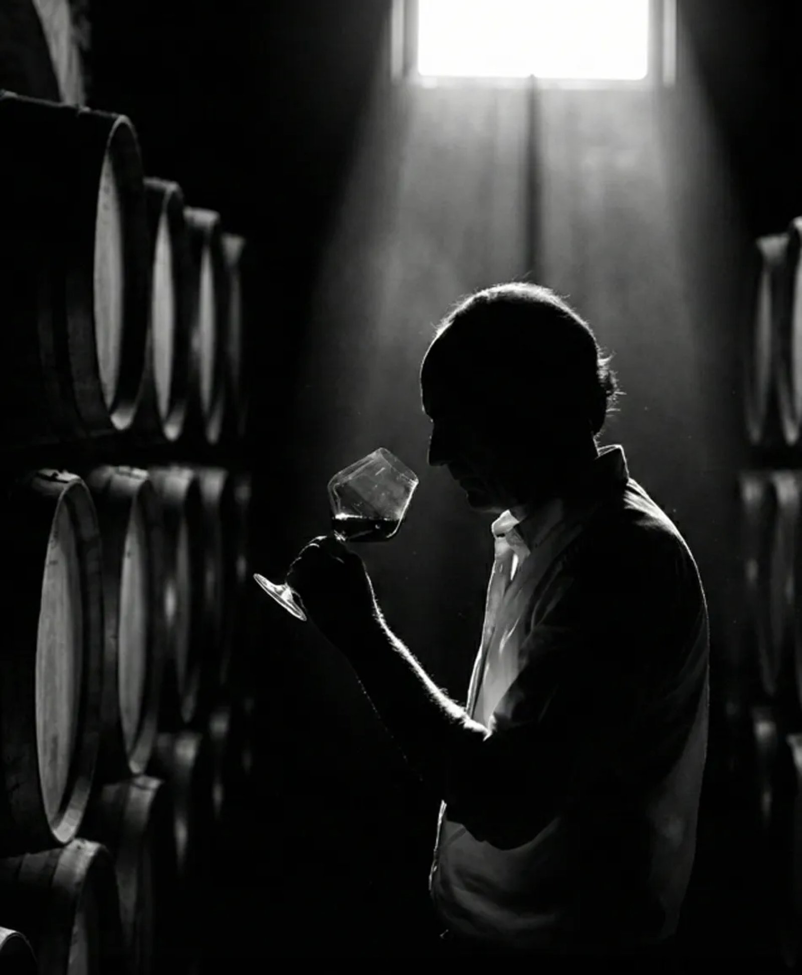 Backlit winemaker smelling a glass of red wine among barrels, in black and white_Argency design and advertising agency. Mendoza. Argentina